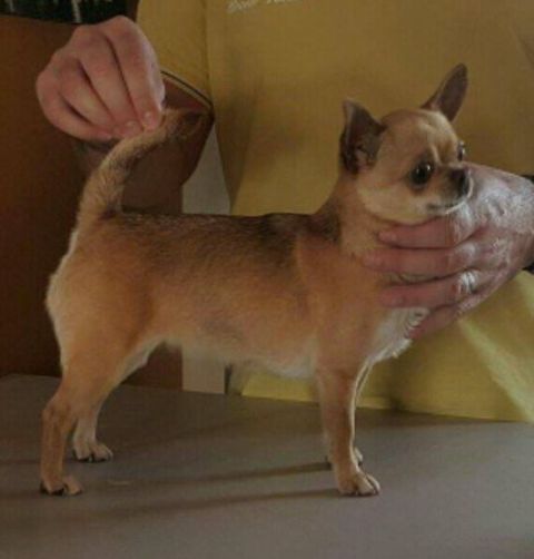 I love you De L'empire De Ganesh