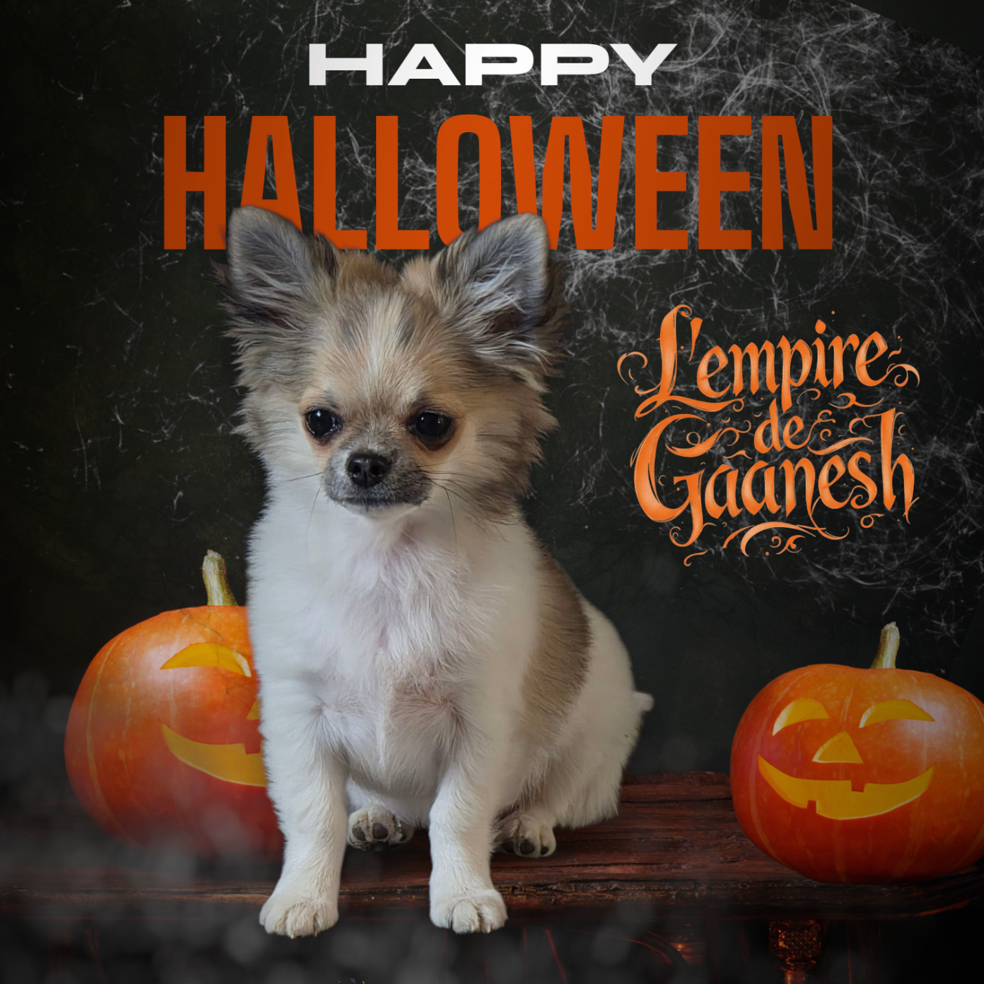 Alibaba De L'empire De Ganesh