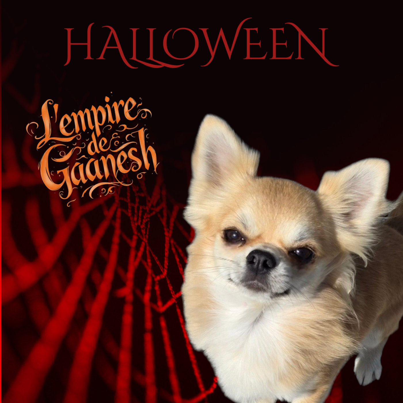 CH. legado de lagos Abu dhabi