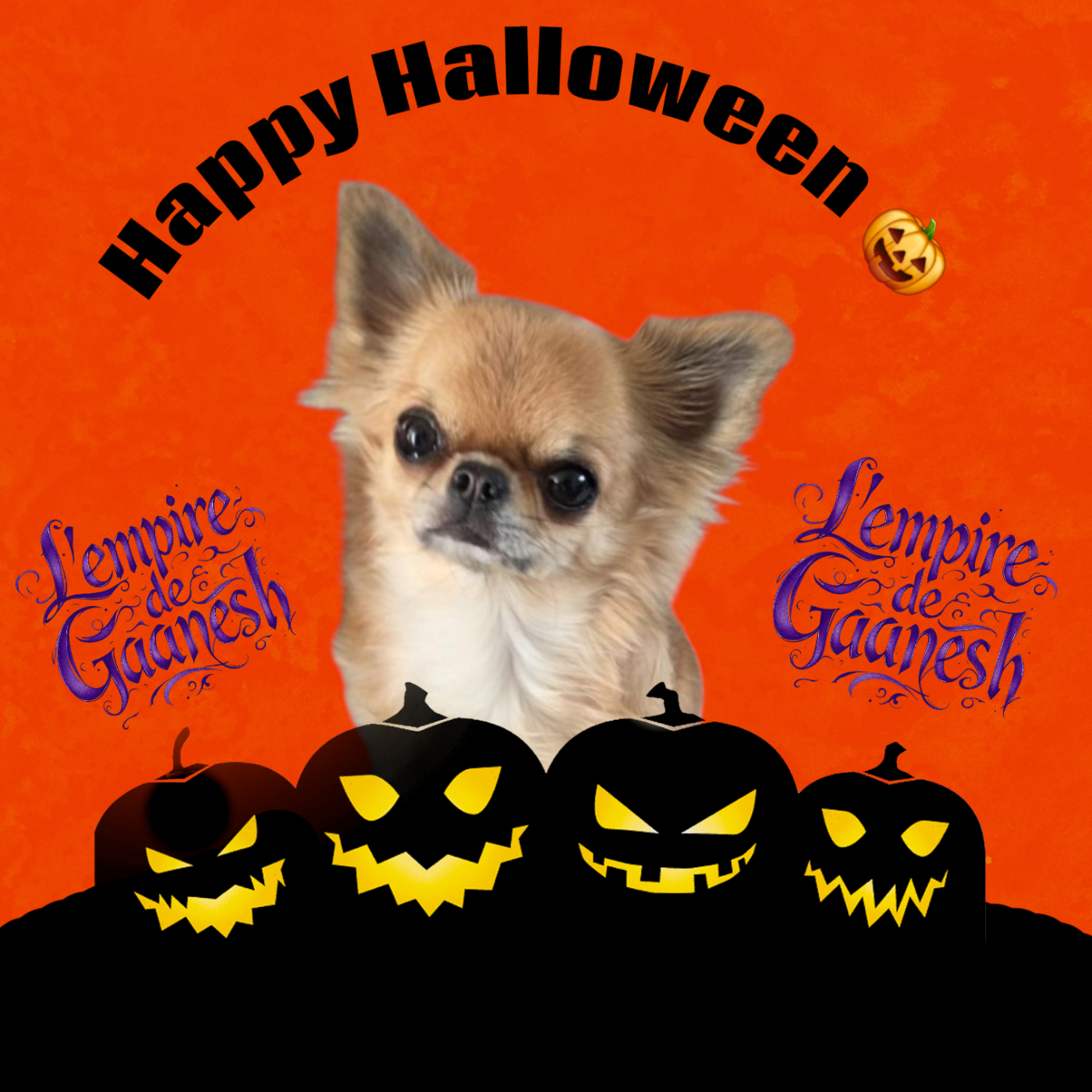 CH. Ulla hoop Du Grimoire Des Nains