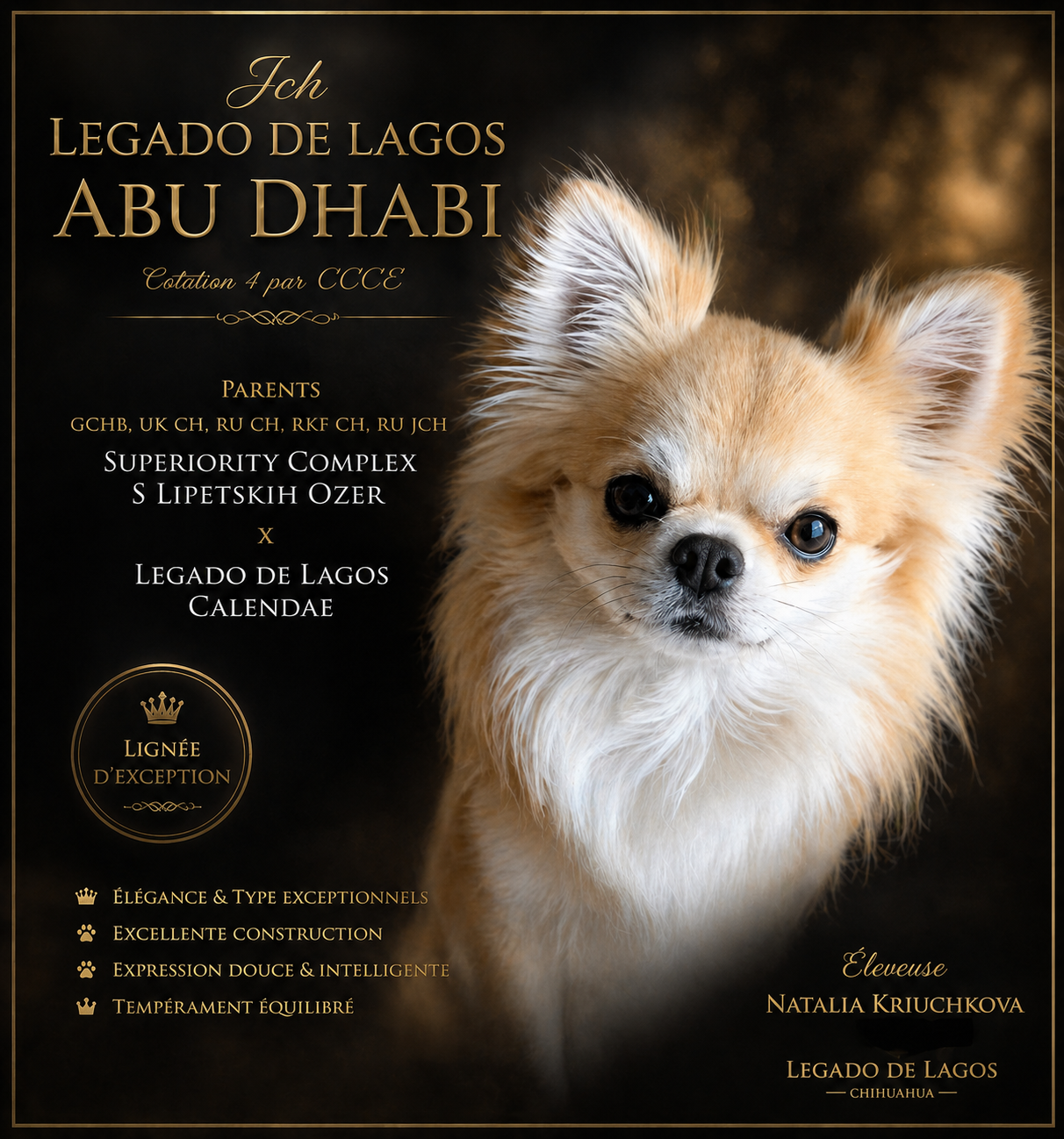 CH. legado de lagos Abu dhabi