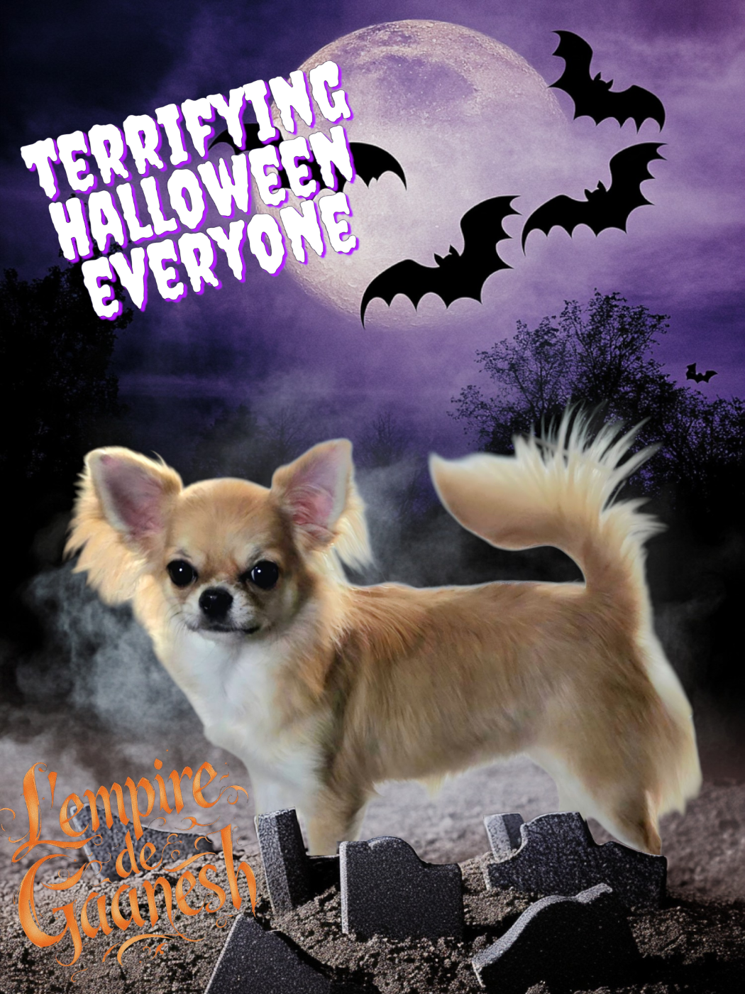 Vienna secret of angels