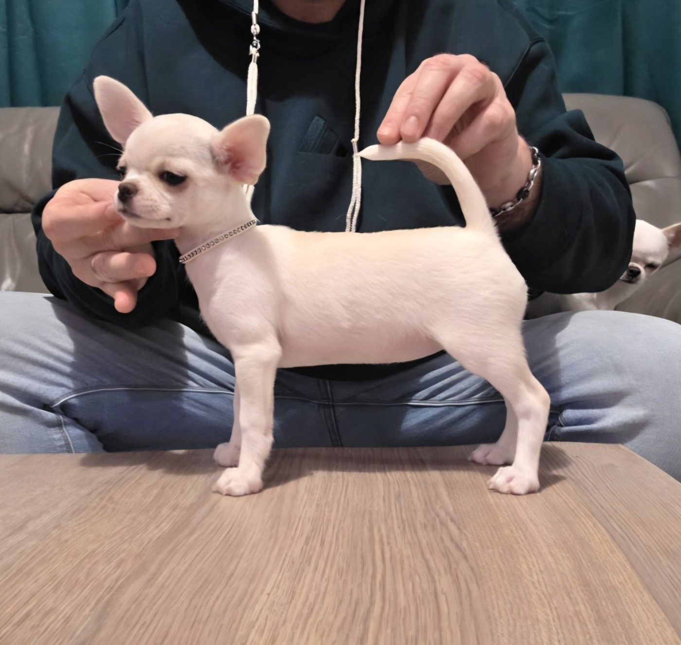 AMY  De L'empire De Ganesh